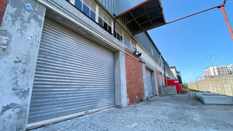 To Let commercial Property for Rent in Observatory Western Cape